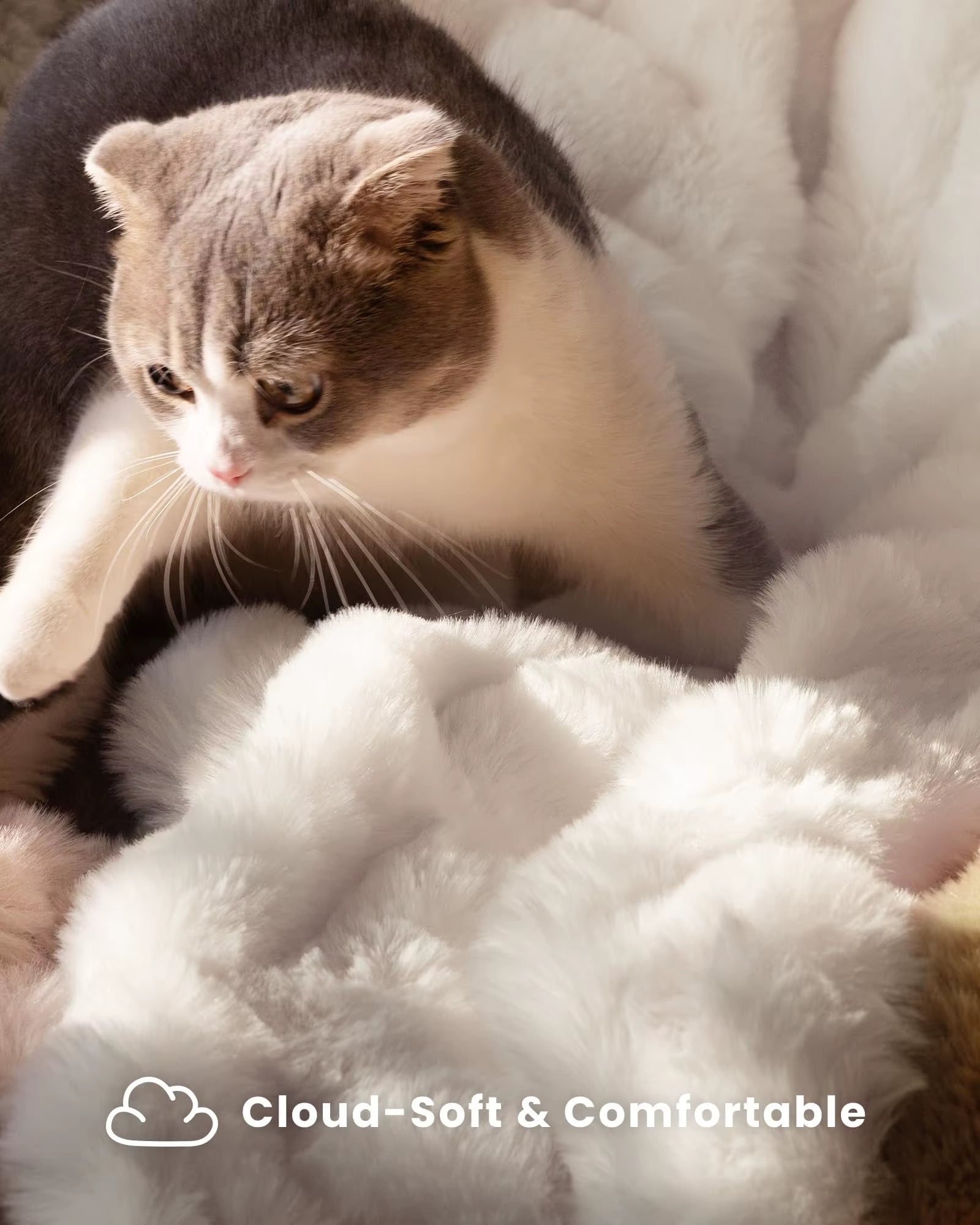 Luxury 100% Polyester Faux Rabbit Fur Blanket Cozy Warm Thicken Flannel Fleece Mink Knitted Cover for Winter King Character